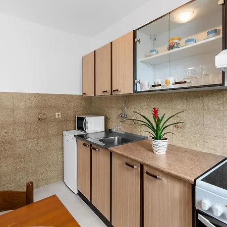 Apartment Feniks