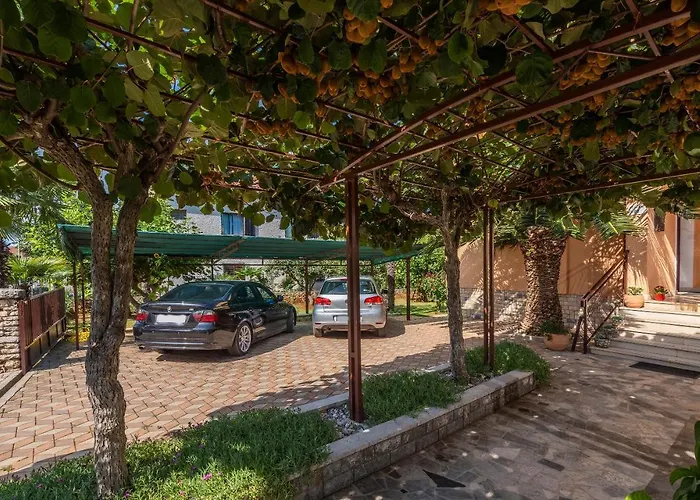 Feniks بوريتش